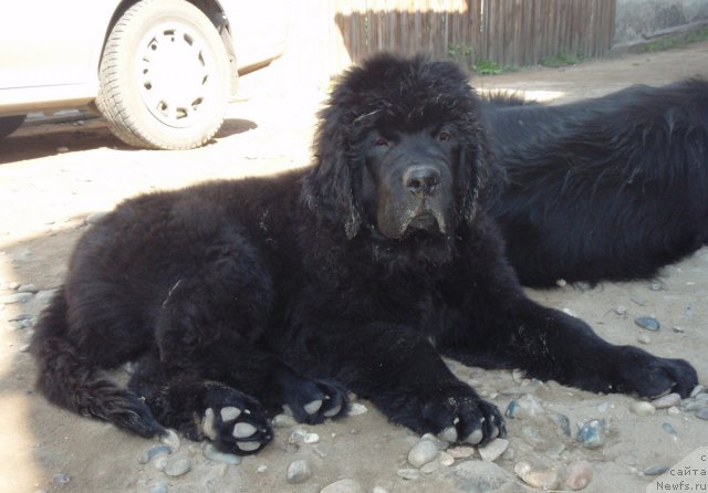 Фотография № 75943