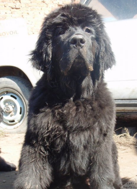 Фотография № 75944