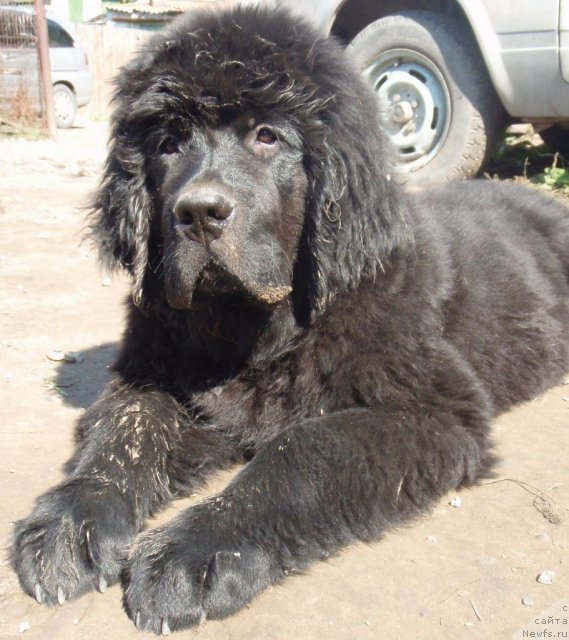 Фотография № 75945