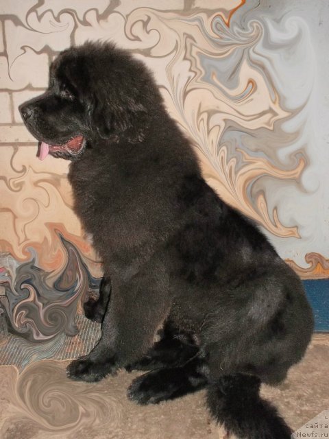 Фотография № 75985