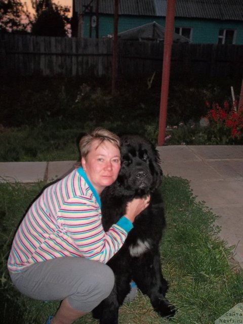 Фотография № 75987