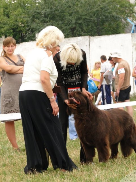 Фотография № 76038