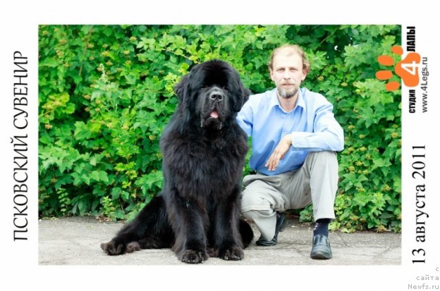 Фотография № 76047