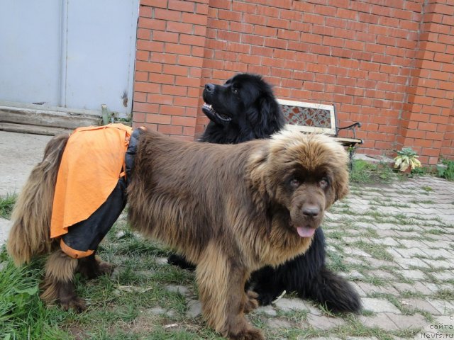 Фотография № 76048