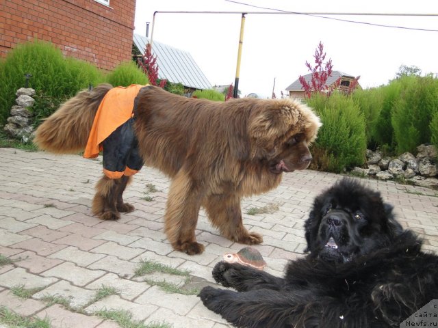 Фотография № 76049