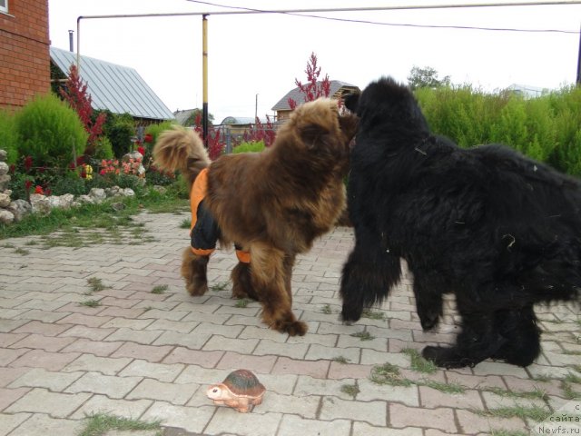 Фотография № 76051