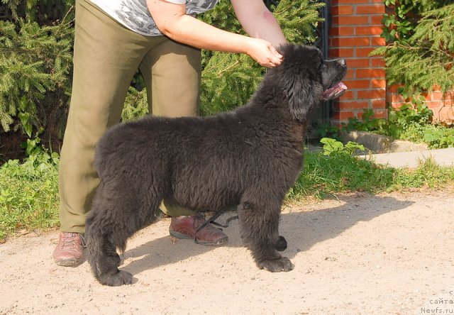 Фотография № 76071