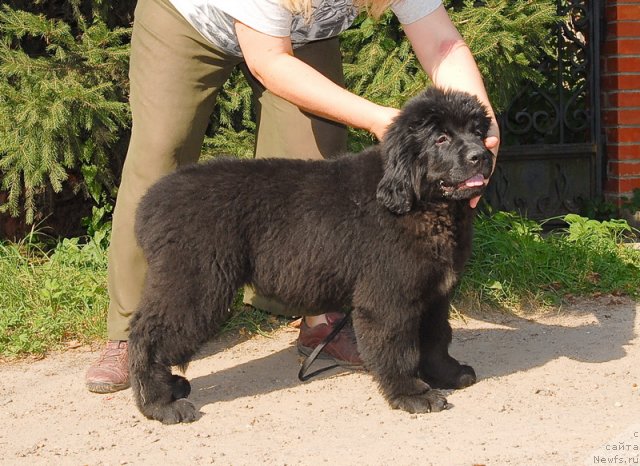 Фотография № 76072