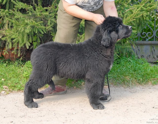 Фотография № 76074