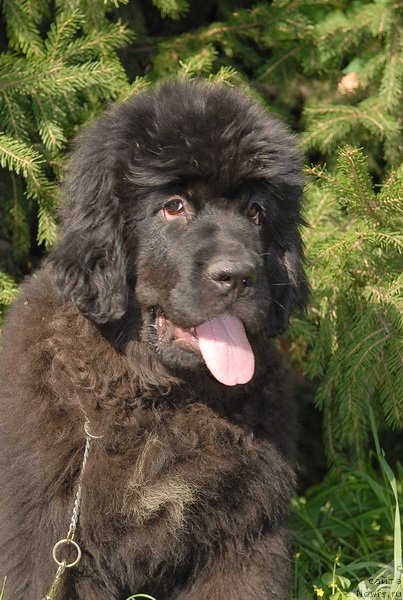 Фотография № 76077