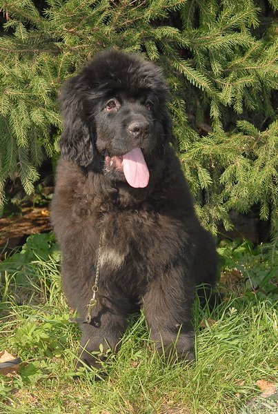 Фотография № 76081