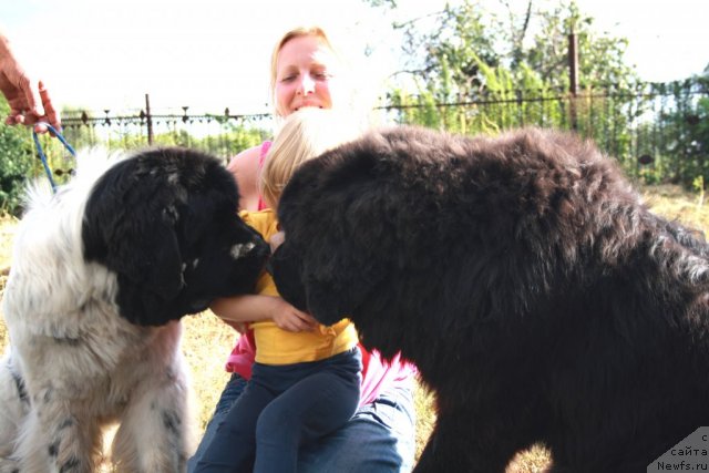 Фотография № 76108