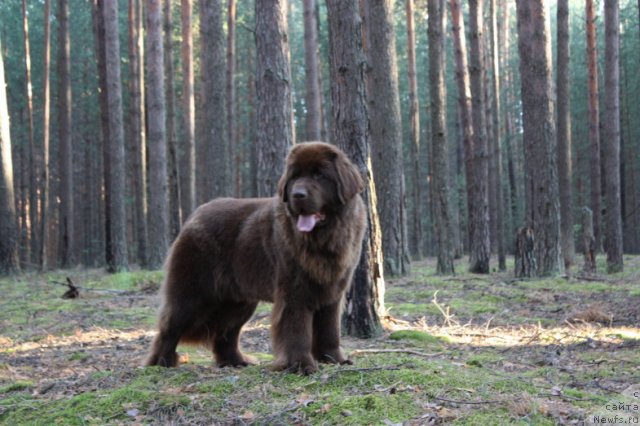 Фотография № 76118