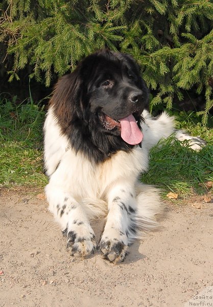 Фотография № 76121