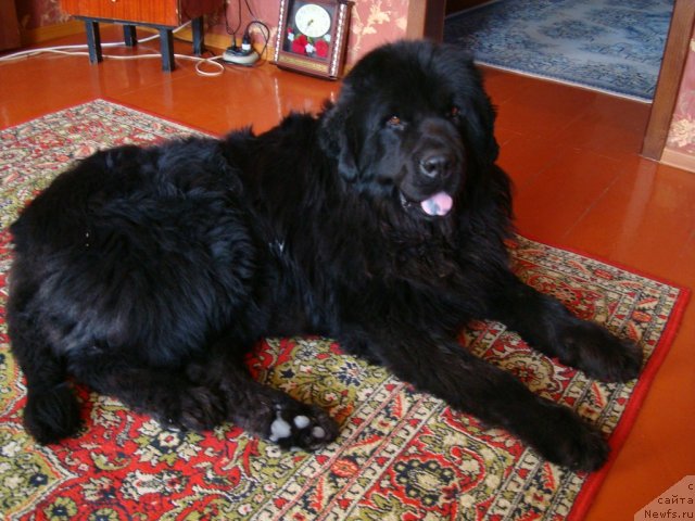 Фотография № 76124