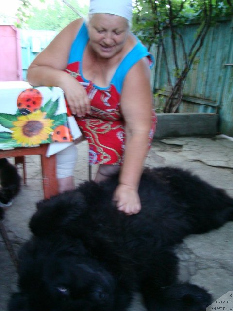 Фотография № 76127