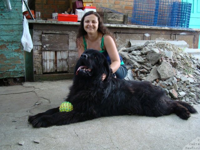 Фотография № 76134