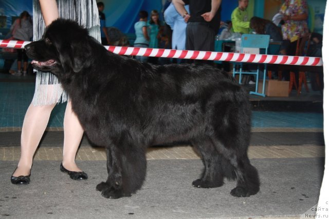 Фотография № 76191