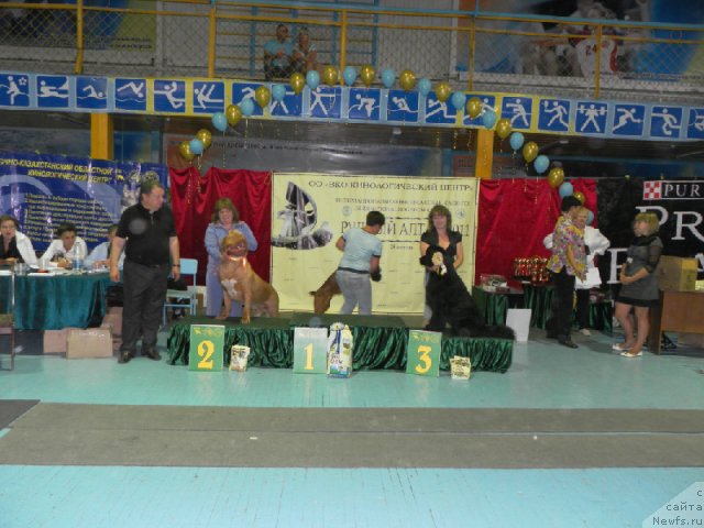 Фотография № 76192