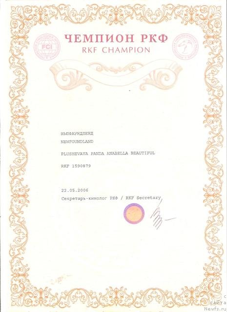 Фото: ньюфаундленд Плюшевая Панда Анабелла Бьютифул (Plushevaya Panda Anabella Beautiful)