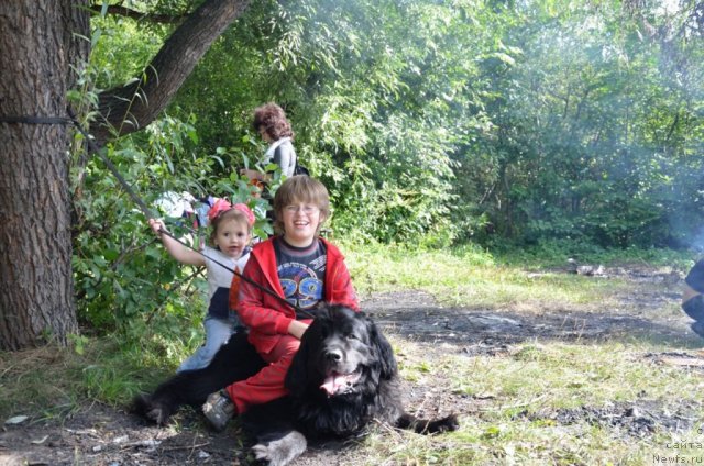 Фотография № 76270