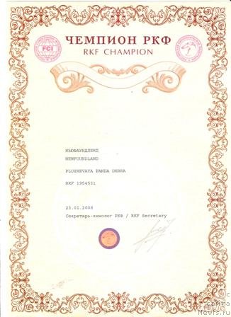 Фото: ньюфаундленд Плюшевая Панда Дэбра (Plushevaya Panda Debra)