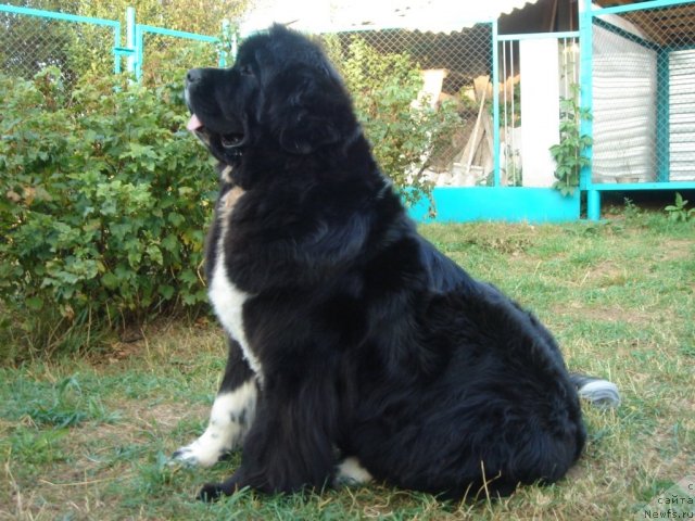 Фотография № 76314