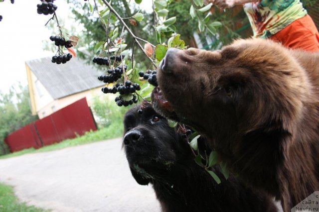 Фотография № 76317