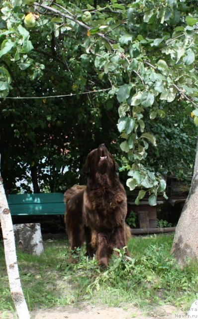 Фотография № 76319