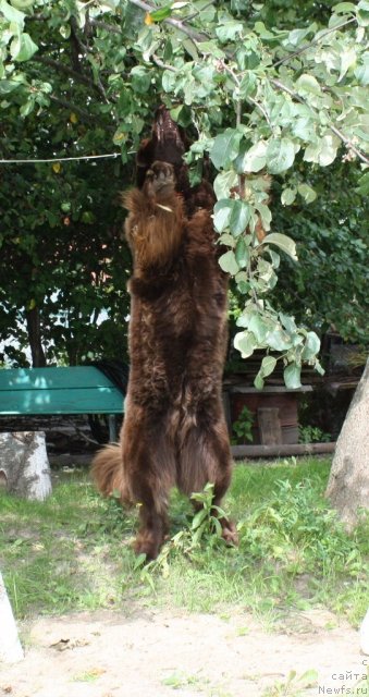 Фотография № 76320