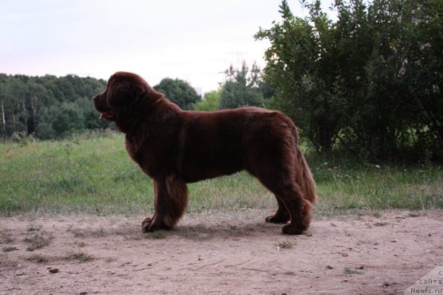 Фотография № 76321