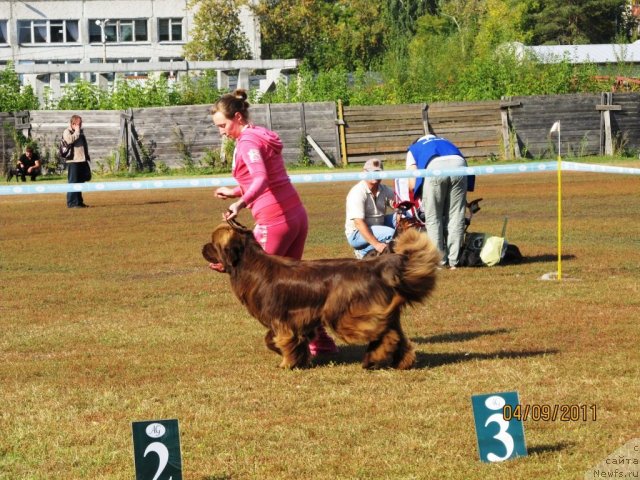 Фотография № 76329