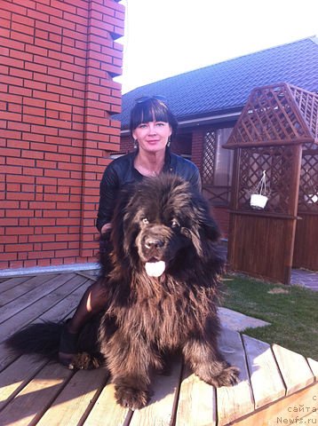 Фотография № 76330