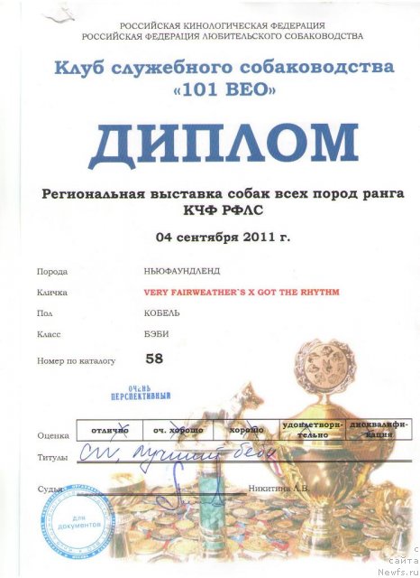 Фото: ньюфаундленд Very Fairweathers X'Got The Rhythm