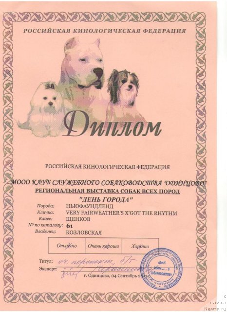 Фото: ньюфаундленд Very Fairweathers X'Got The Rhythm