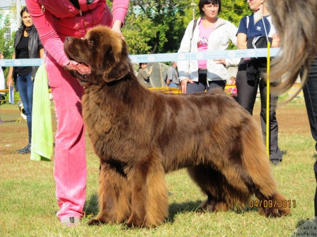 Фотография № 76370