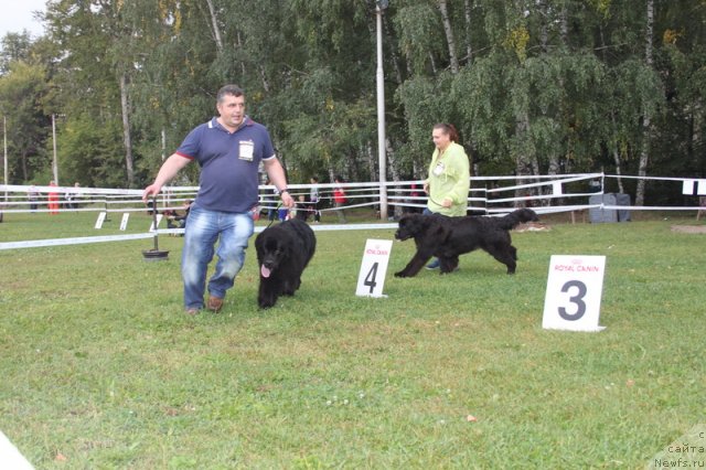 Фотография № 76374