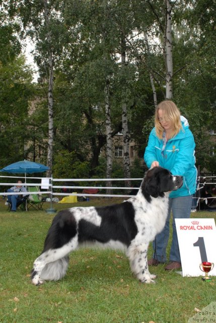 Фотография № 76388