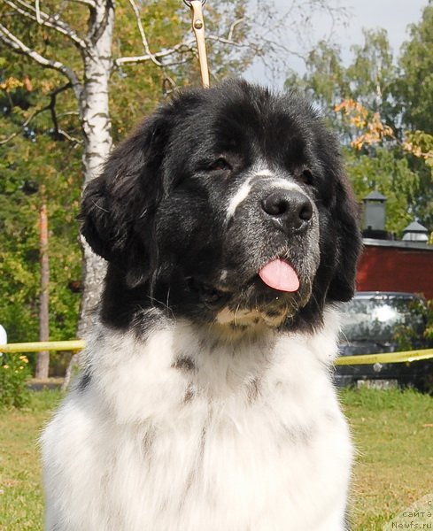 Фотография № 76391