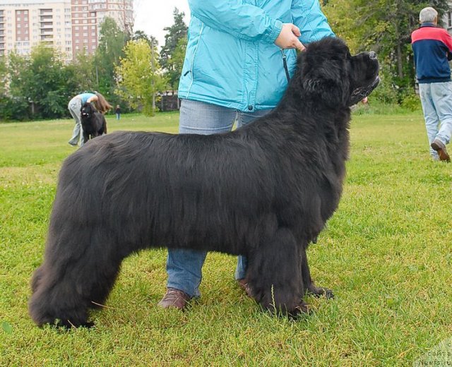 Фотография № 76393