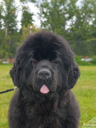 Фотография № 76394