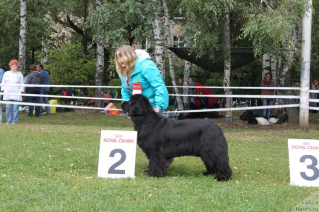 Фотография № 76395