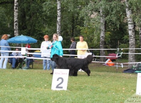 Фотография № 76396