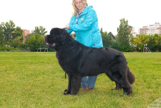 Фотография № 76430