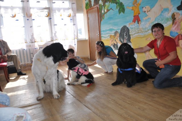 Фотография № 76481