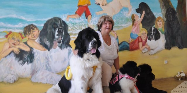 Фотография № 76483