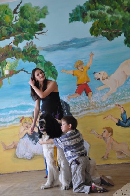 Фотография № 76486