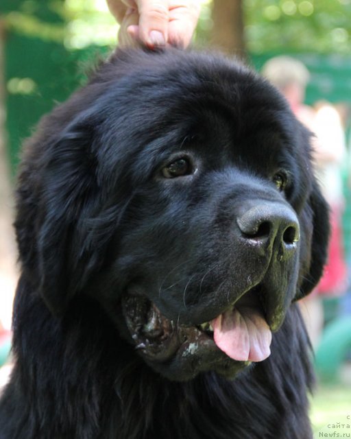 Фотография № 76496