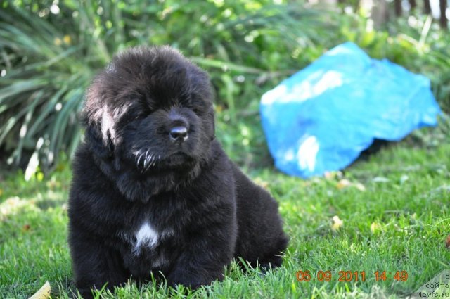 Фотография № 76516