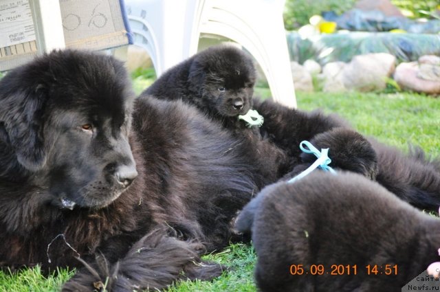 Фотография № 76520